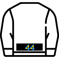 Lower Back